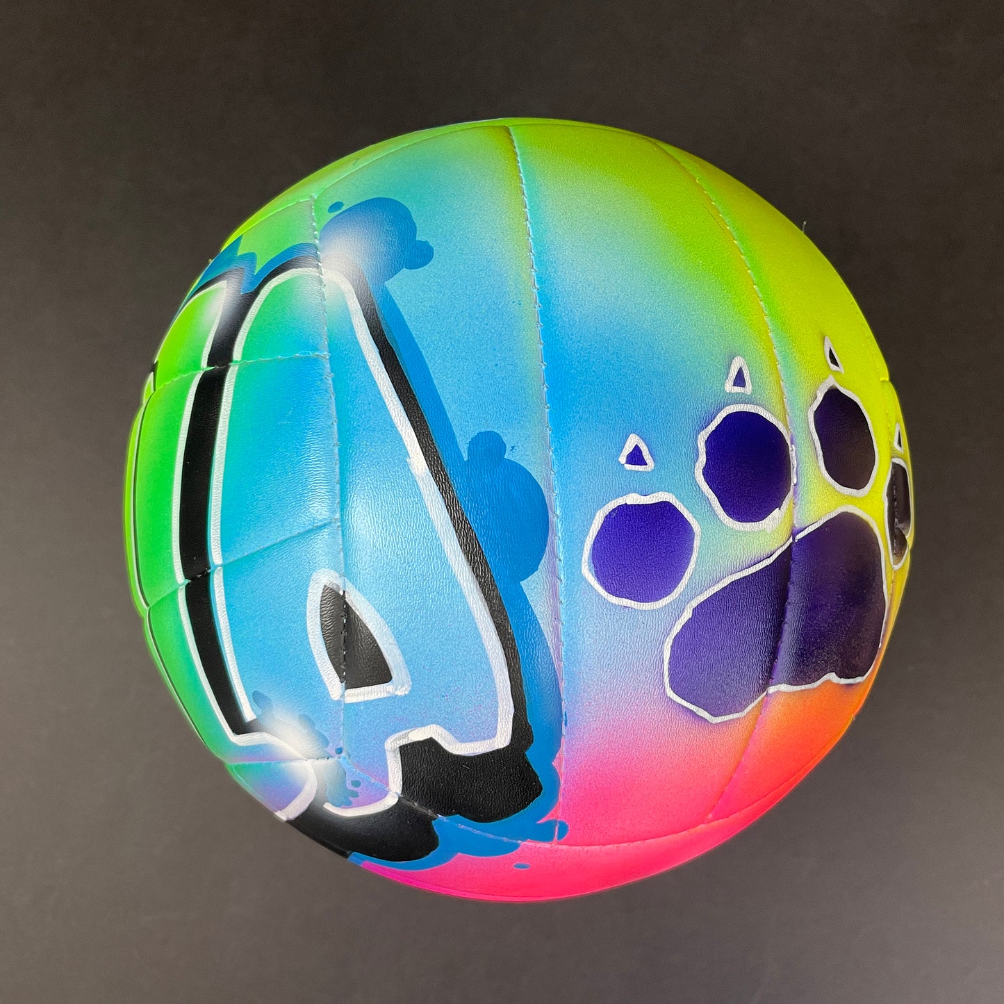 Personalized Volleyball – Custom Name Graffiti Ball with Team Colors & Free Stand