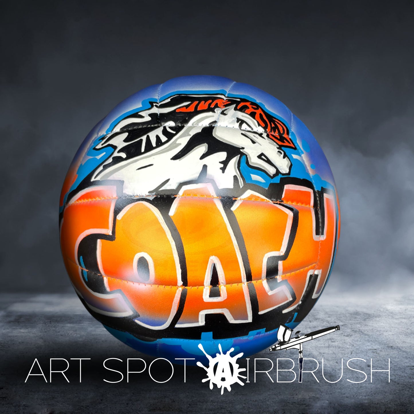 Volleyball Customized with Hand Painted Name